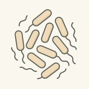 Clostridium