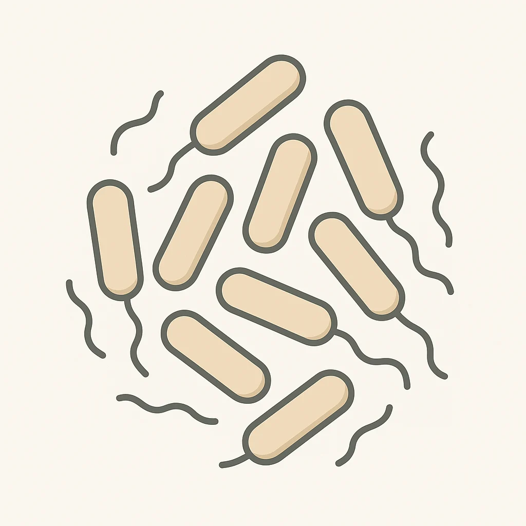 Clostridium