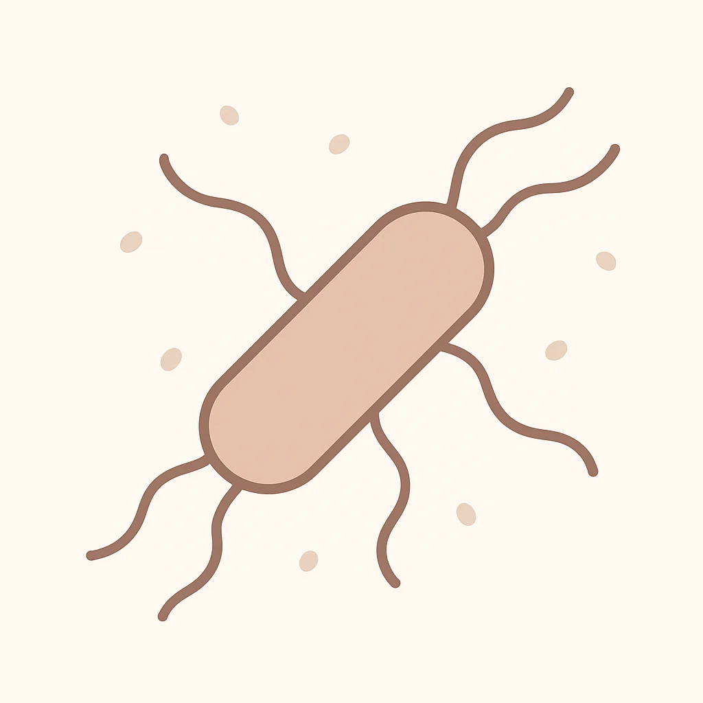 Clostridium jejuni